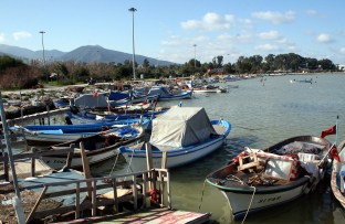 fisherman-2638730_1920