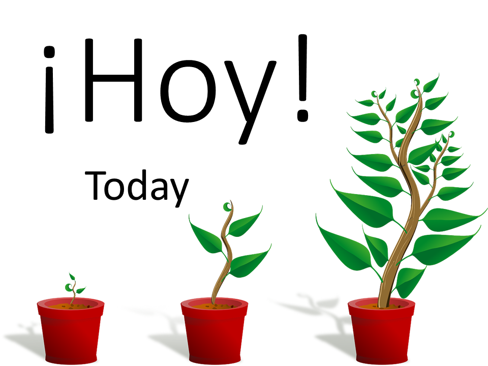 How about treinta minutos de ejecicio with comentarios en español.  ¡Es una buena idea!